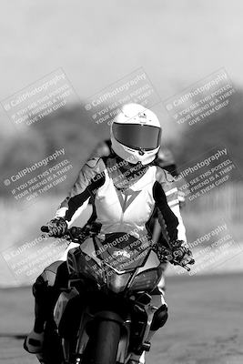 media/Nov-06-2023-Moto Forza (Mon) [[ce023d0744]]/4-Beginner Group/Session 3 (Track Exit)/